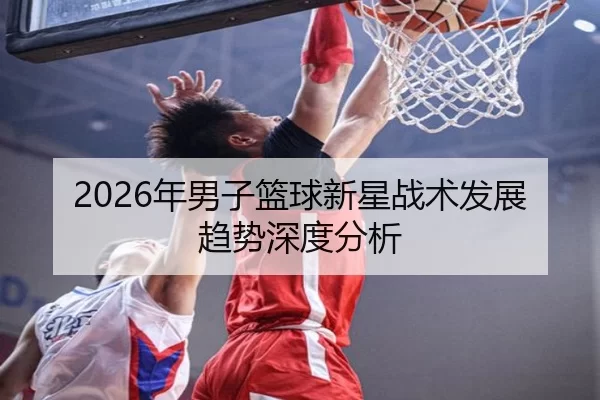2026年男子篮球新星战术发展趋势深度分析